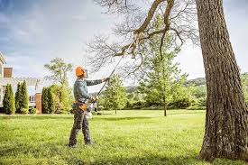 Best Storm Damage Tree Cleanup  in Booker, TX